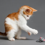 Erika 009 (0136) copy