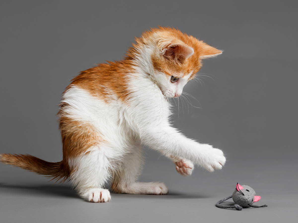 Erika 009 (0136) copy